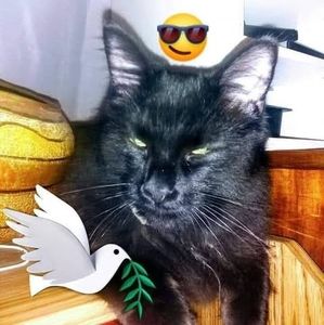 Meet your Posher, Paul